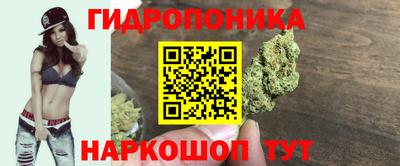 дживик Кинель