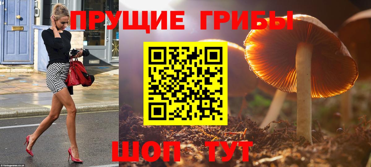 Галлюциногенные грибы прущие грибы Моршанск
